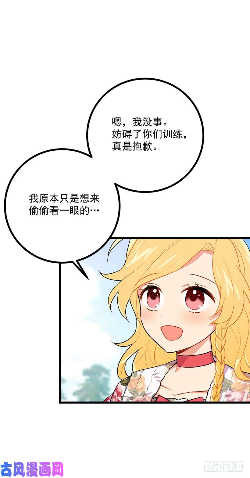 我是这家的孩子新护卫