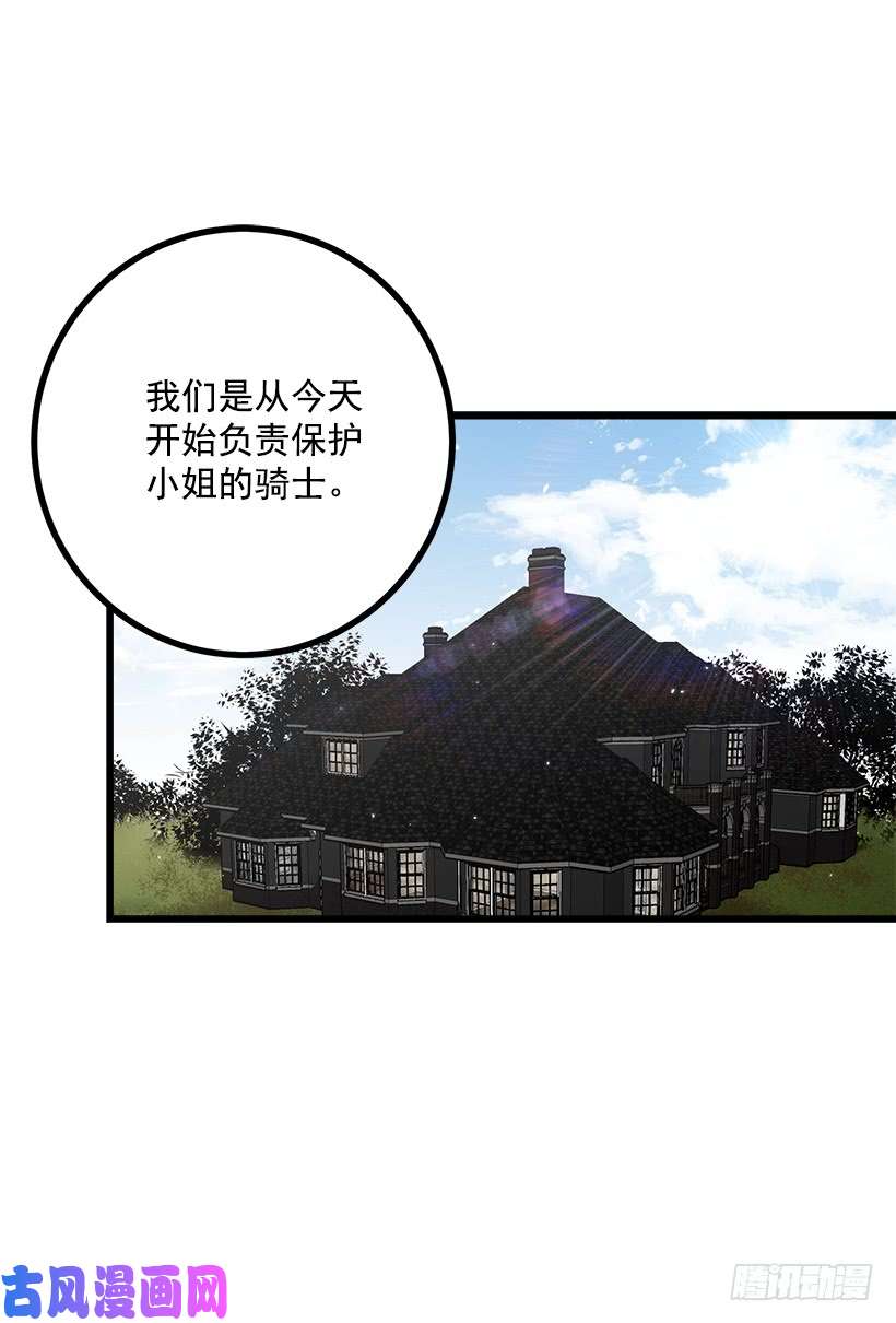 我是这家的孩子新护卫