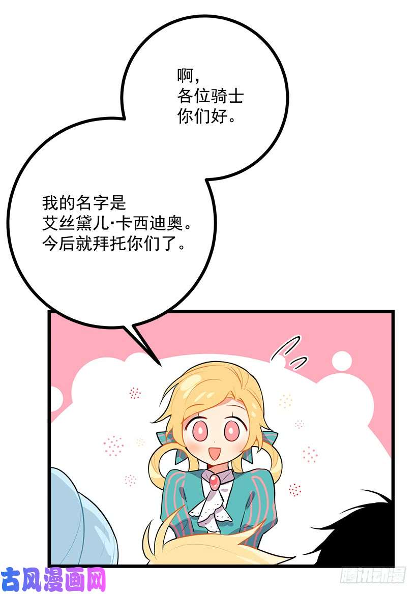 我是这家的孩子新护卫