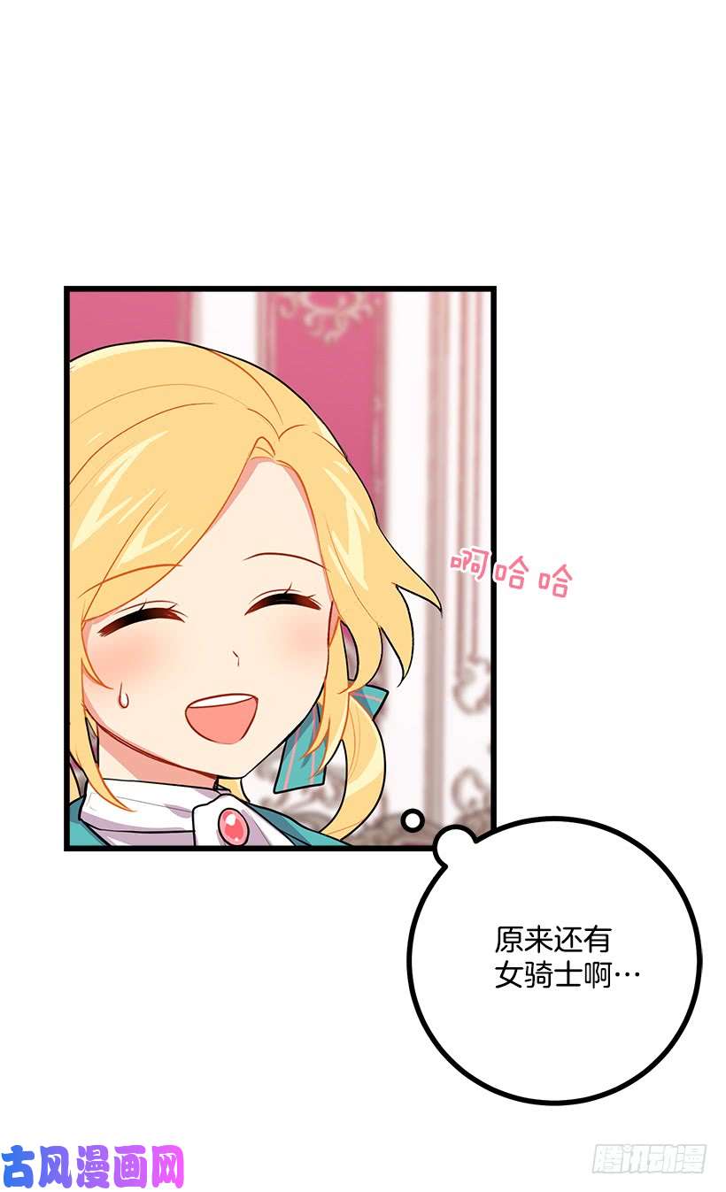 我是这家的孩子新护卫