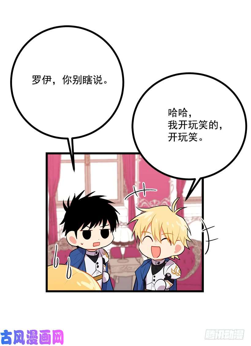 我是这家的孩子新护卫