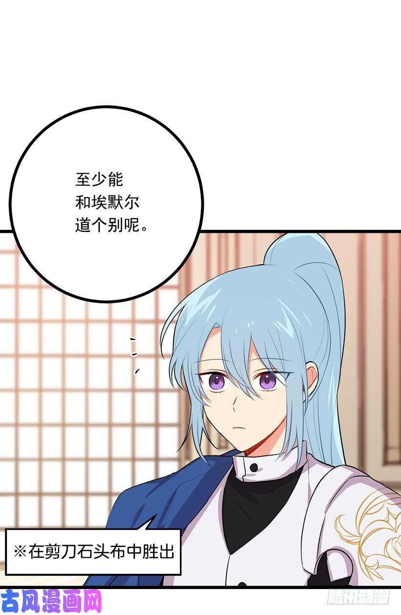 我是这家的孩子新护卫