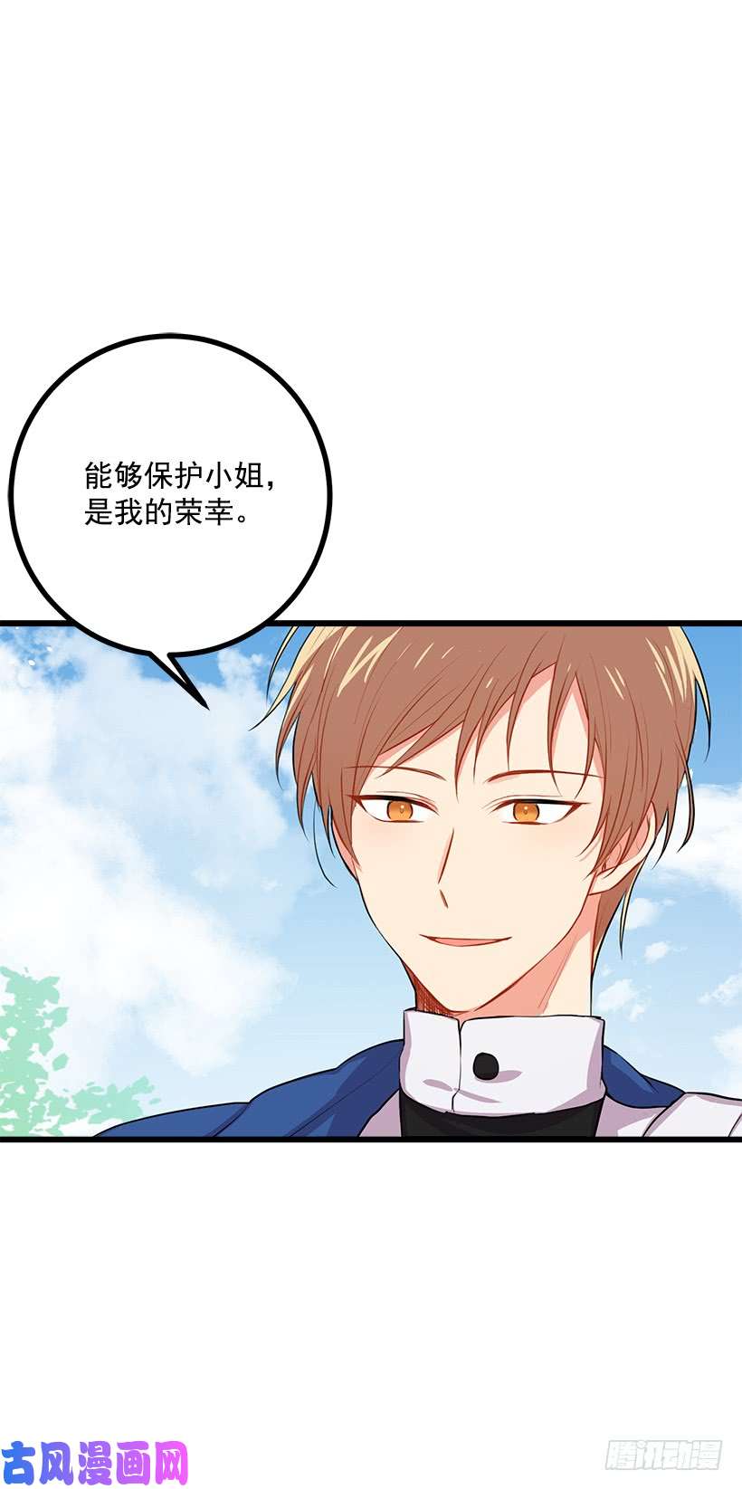 我是这家的孩子新护卫