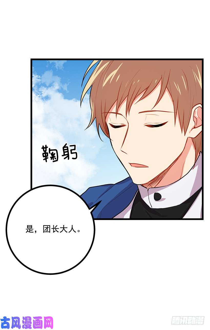 我是这家的孩子新护卫