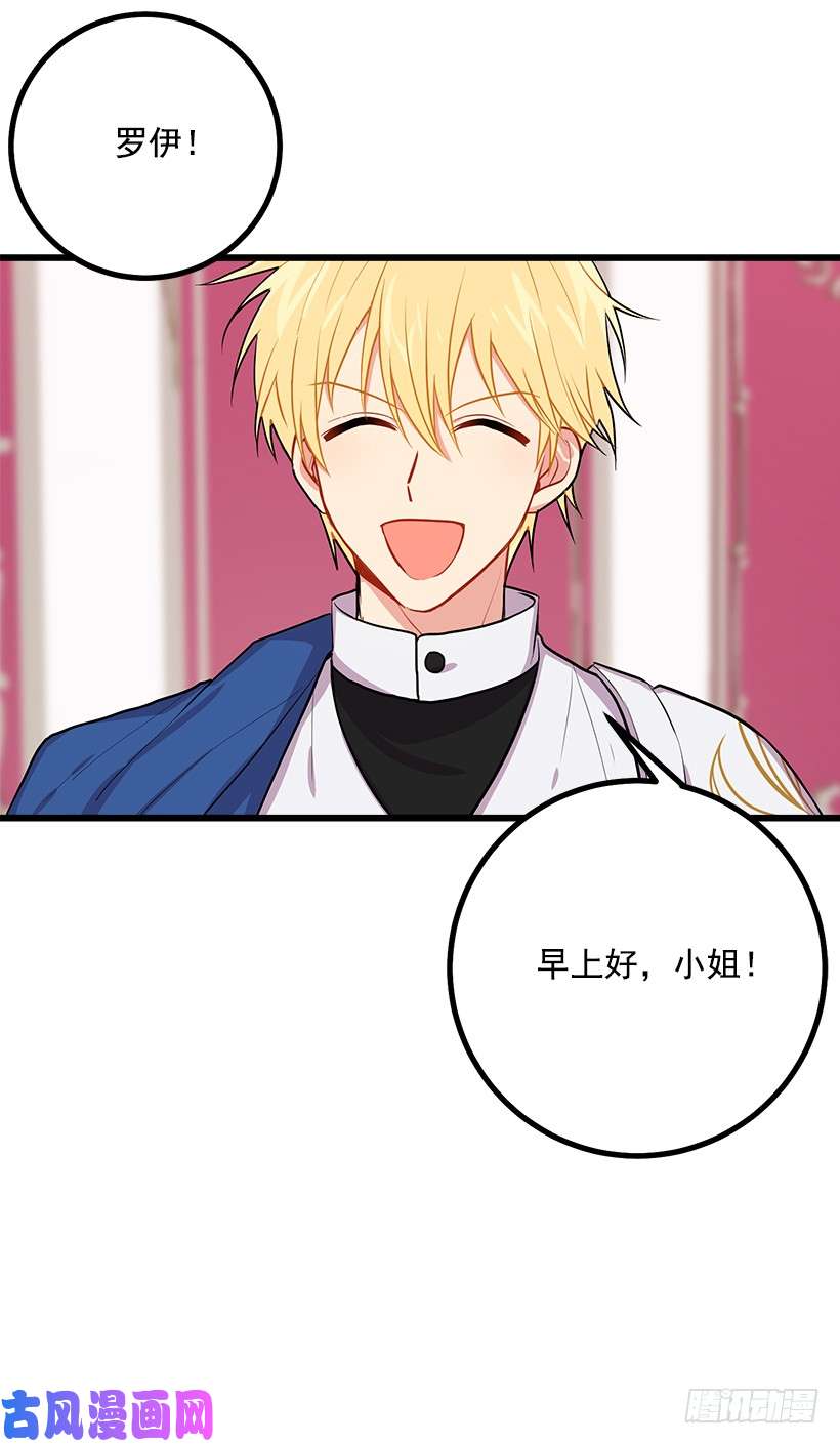 我是这家的孩子魔法师与魔法师塔