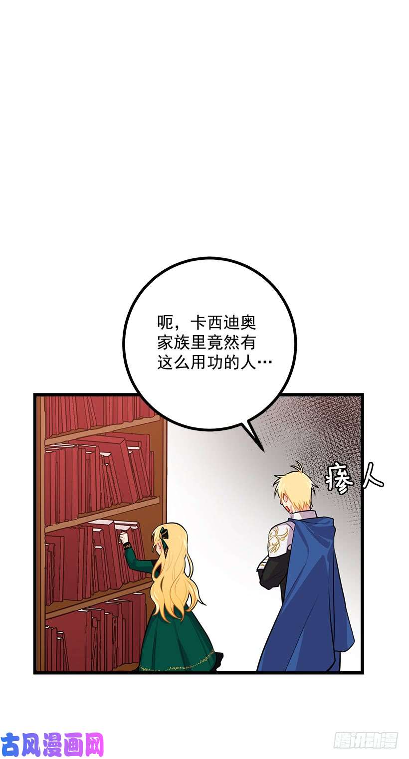 我是这家的孩子魔法师与魔法师塔