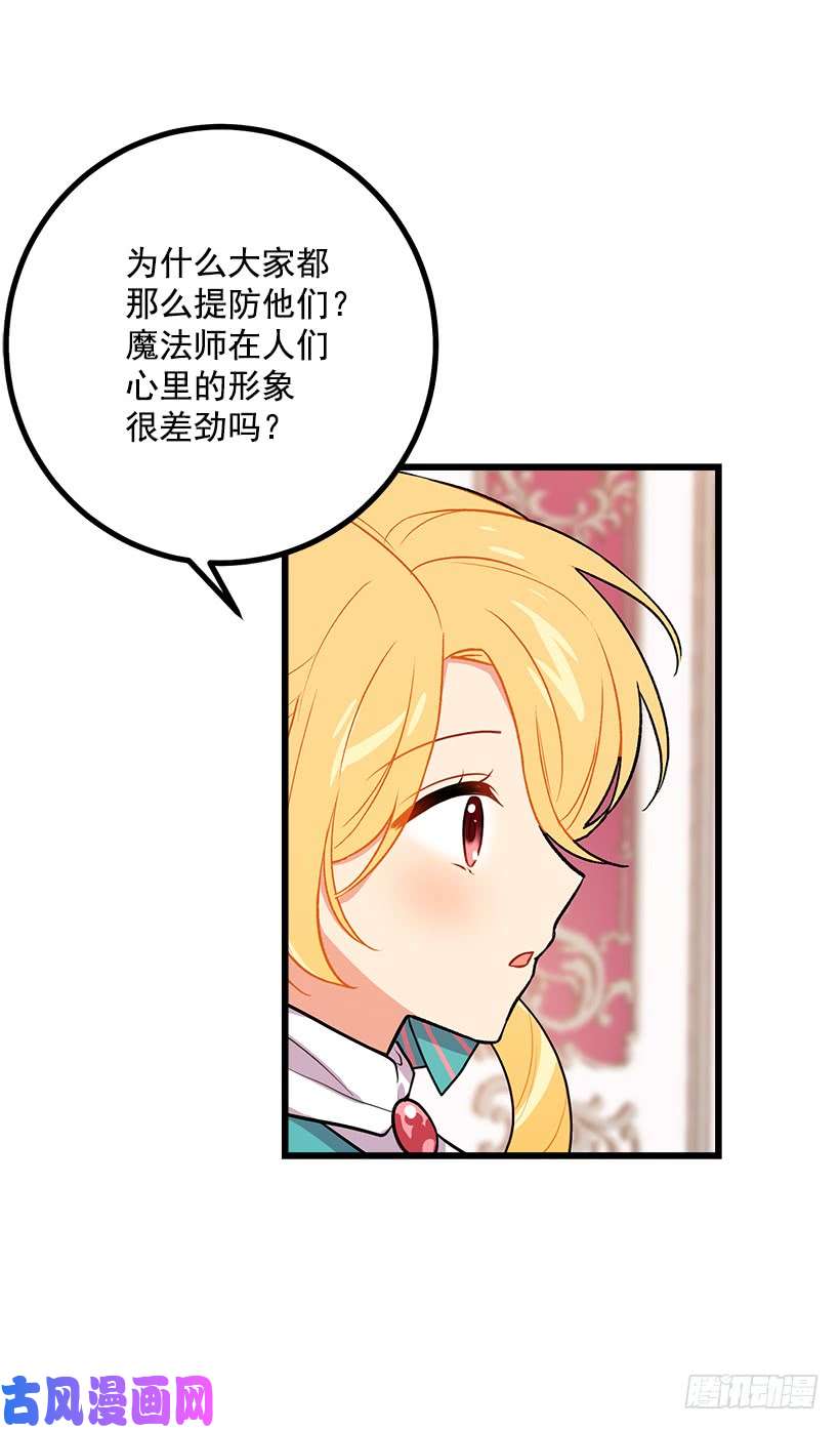 我是这家的孩子魔法师与魔法师塔