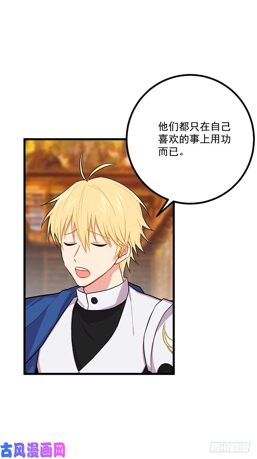 我是这家的孩子魔法师与魔法师塔
