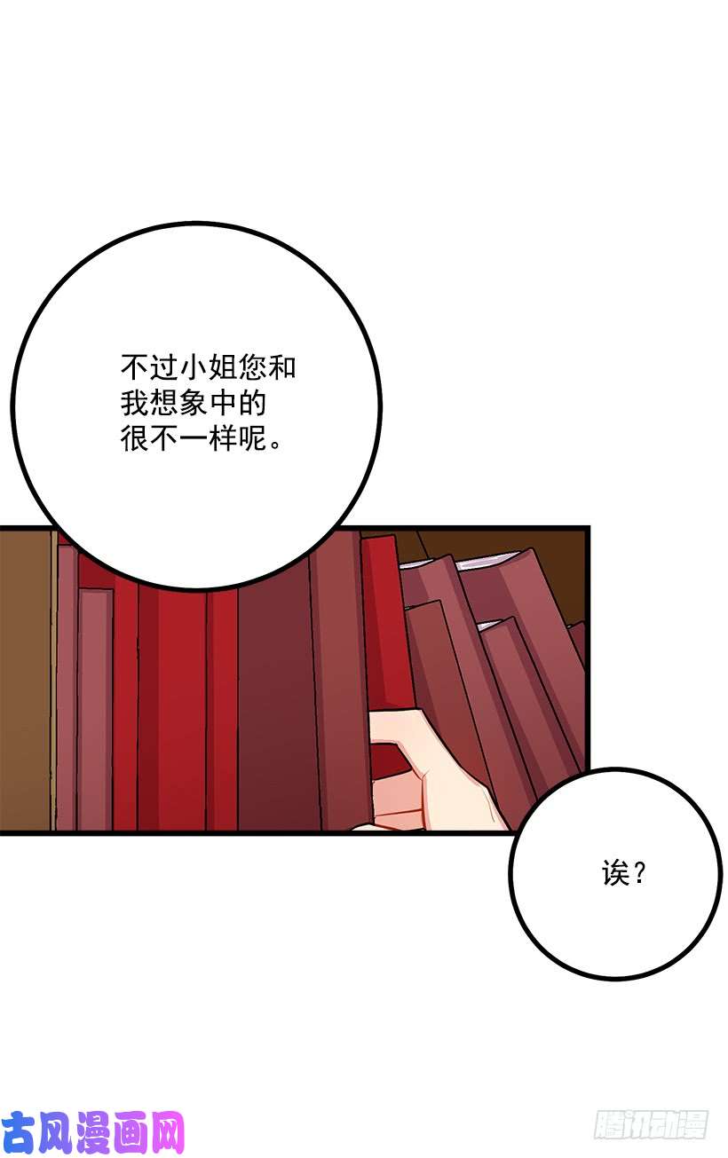 我是这家的孩子魔法师与魔法师塔