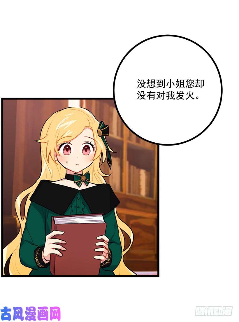 我是这家的孩子魔法师与魔法师塔