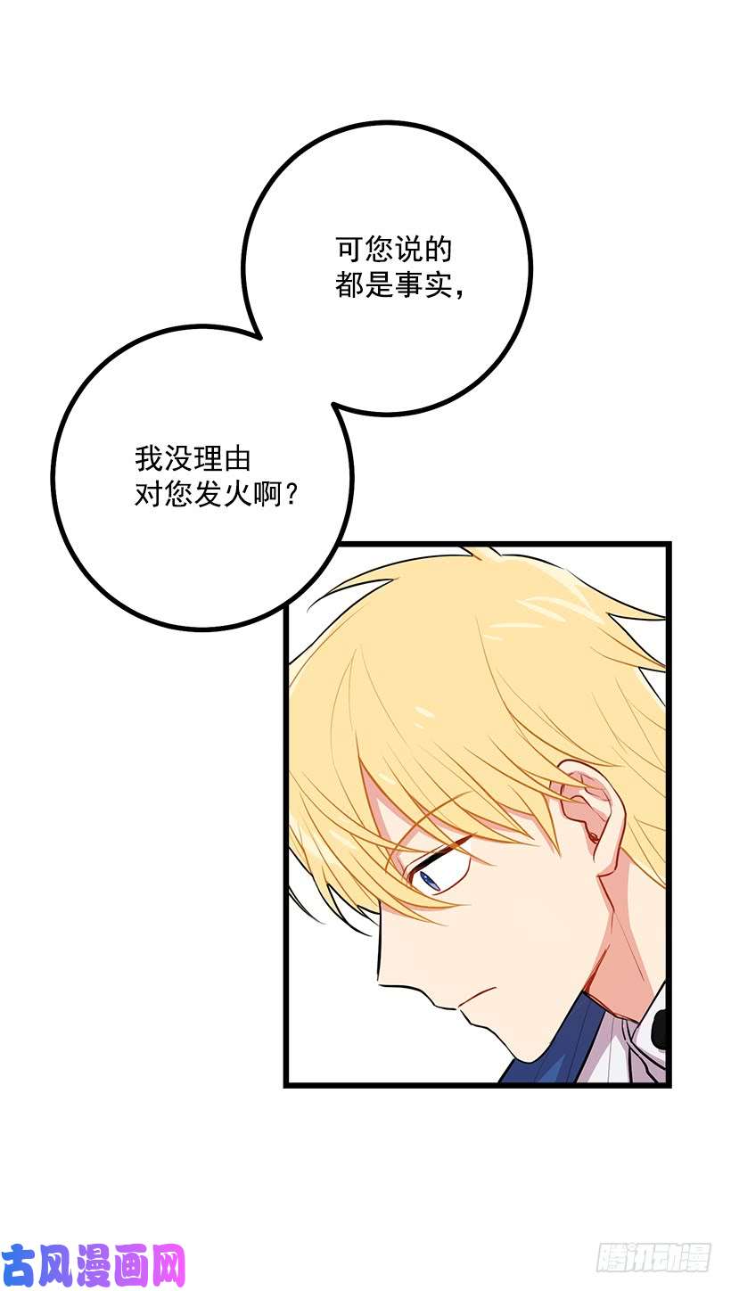 我是这家的孩子魔法师与魔法师塔
