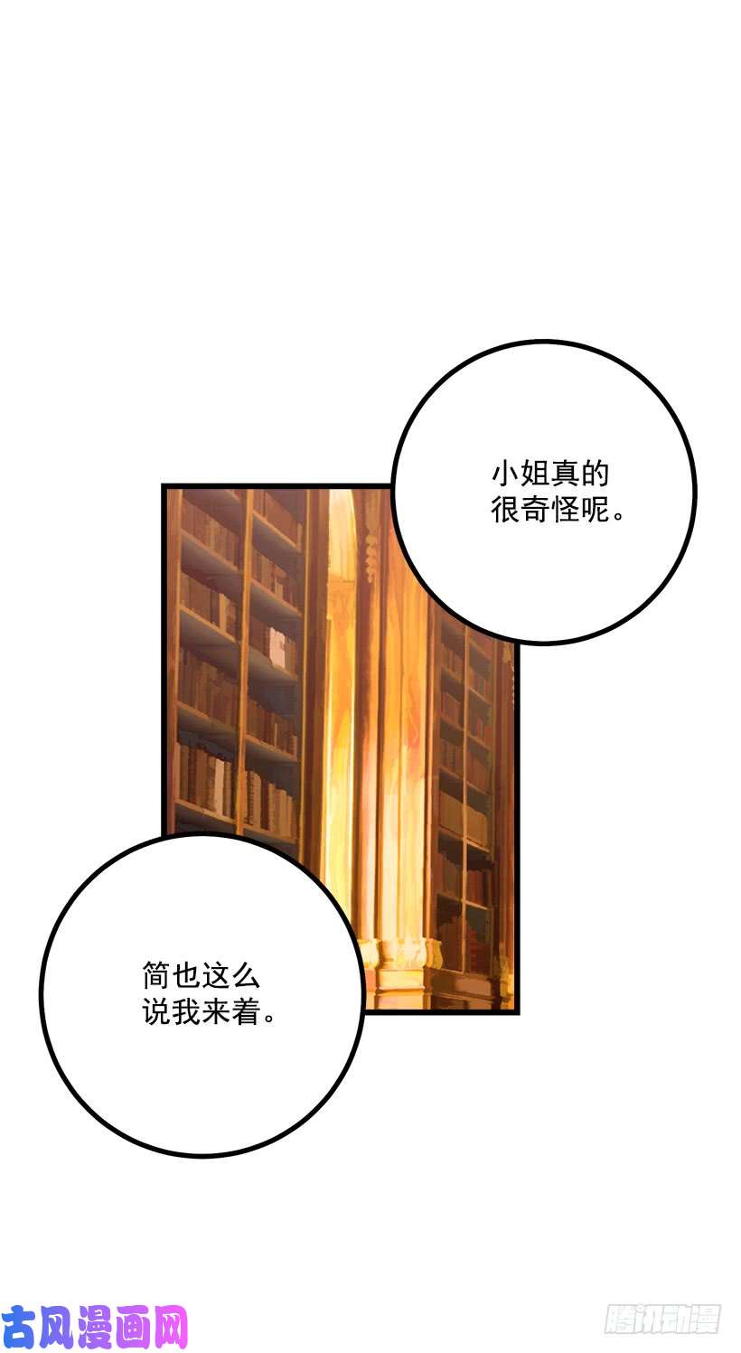 我是这家的孩子魔法师与魔法师塔