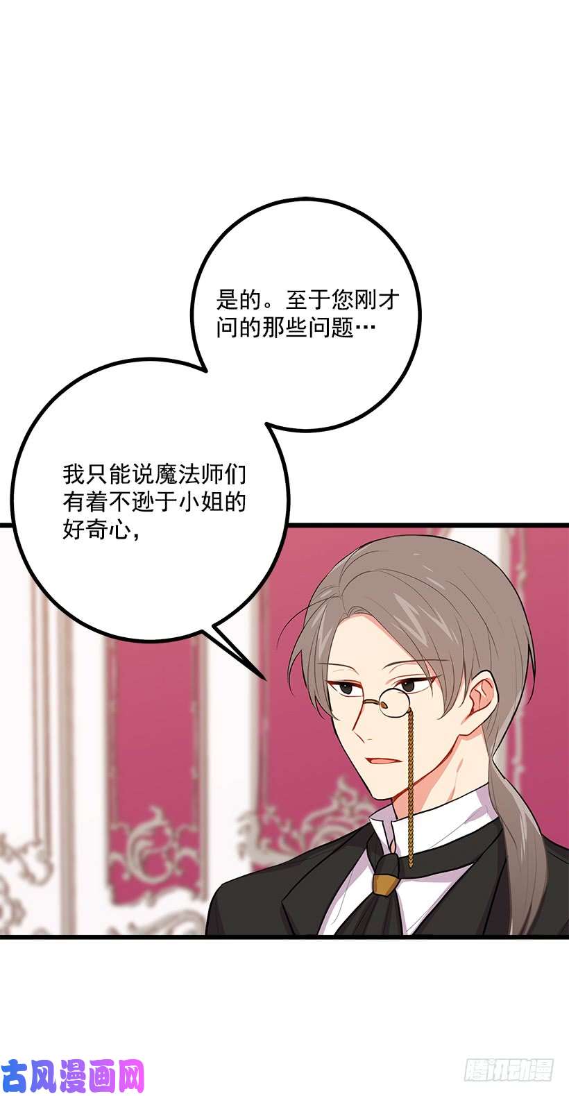 我是这家的孩子魔法师与魔法师塔