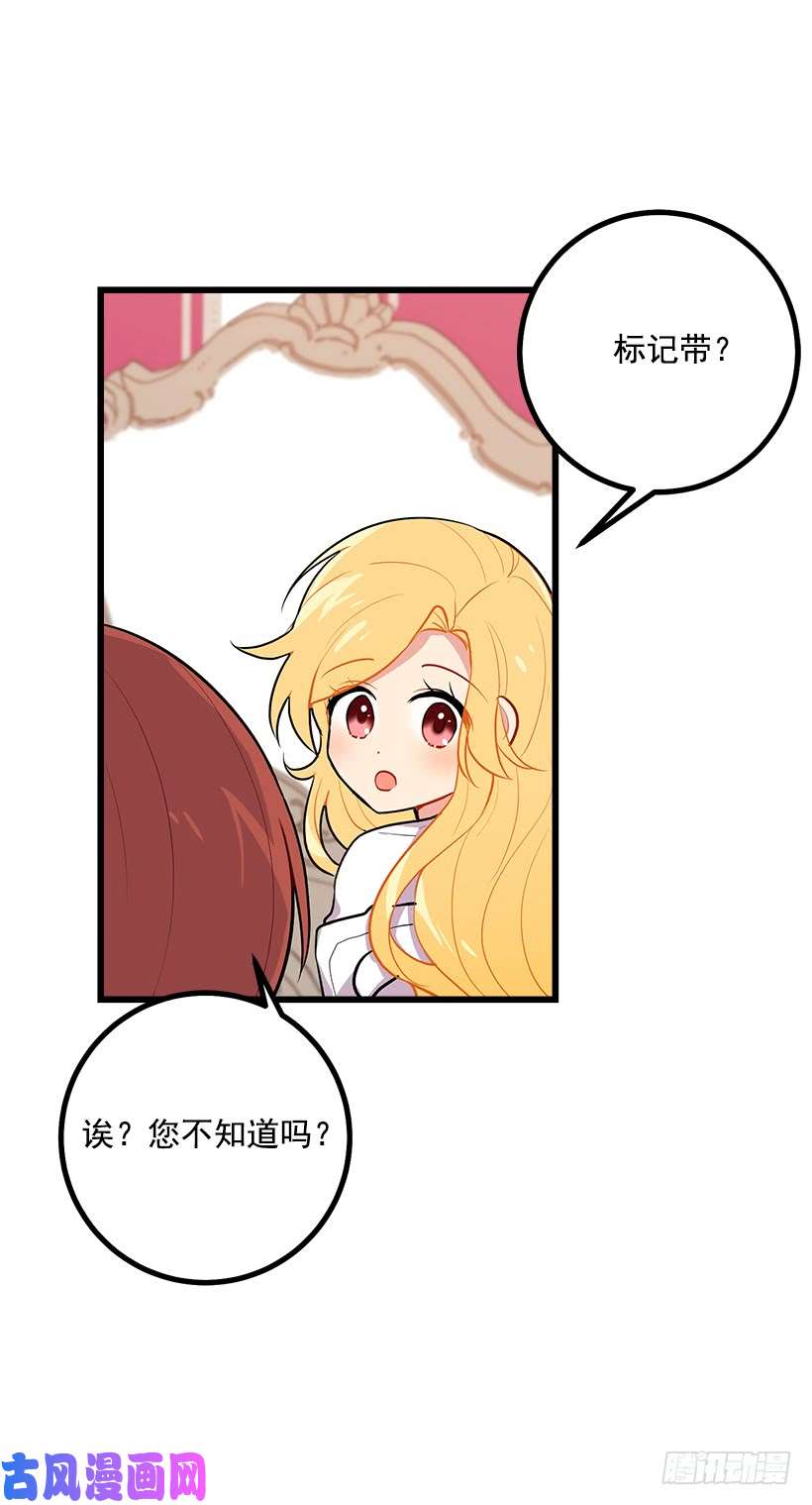 我是这家的孩子狩猎大会的标记带