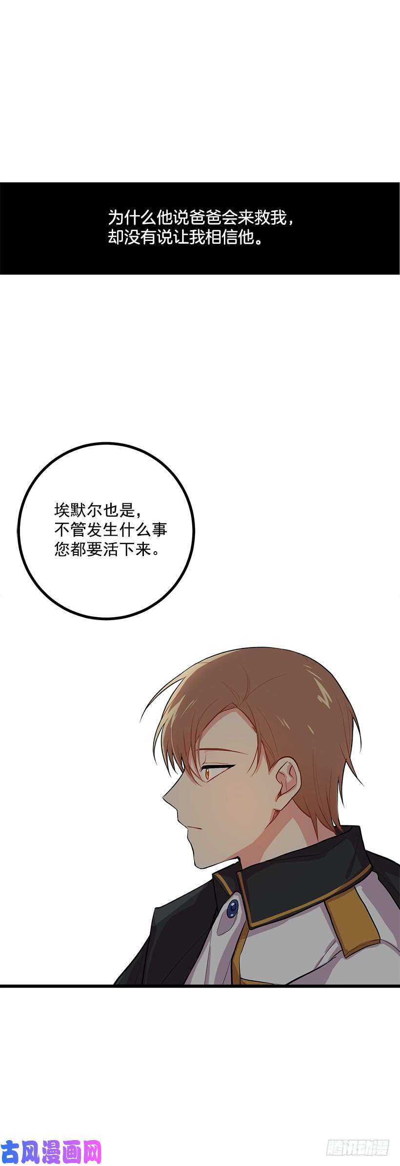 我是这家的孩子埃默尔的嘱托