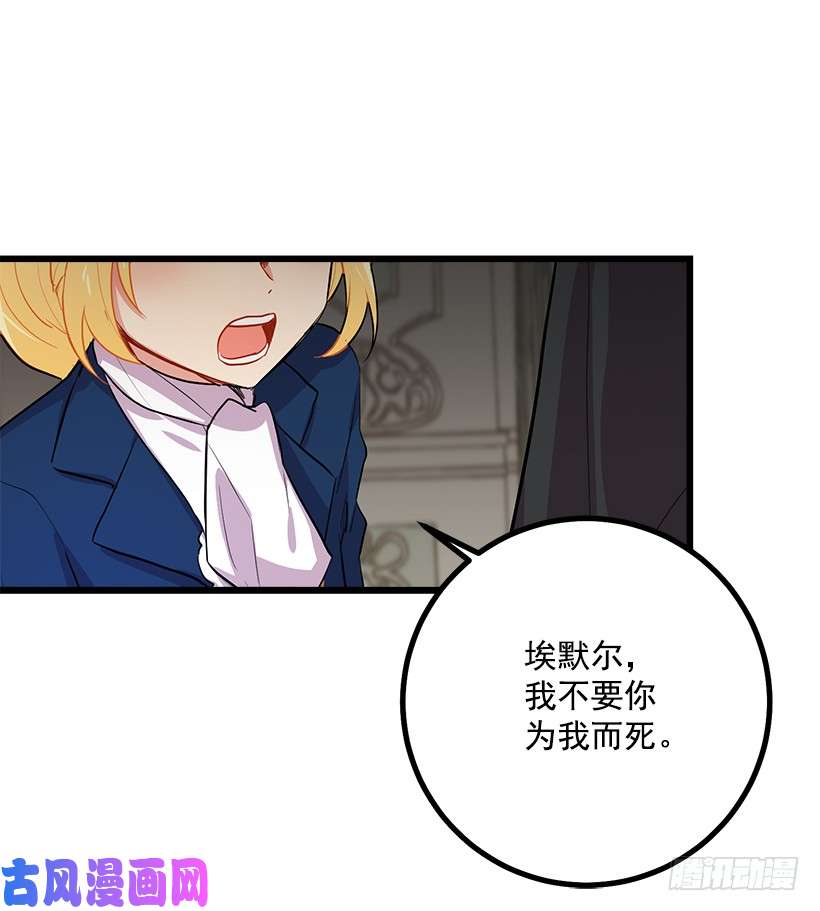 我是这家的孩子埃默尔的嘱托