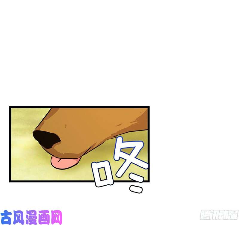 我是这家的孩子熊