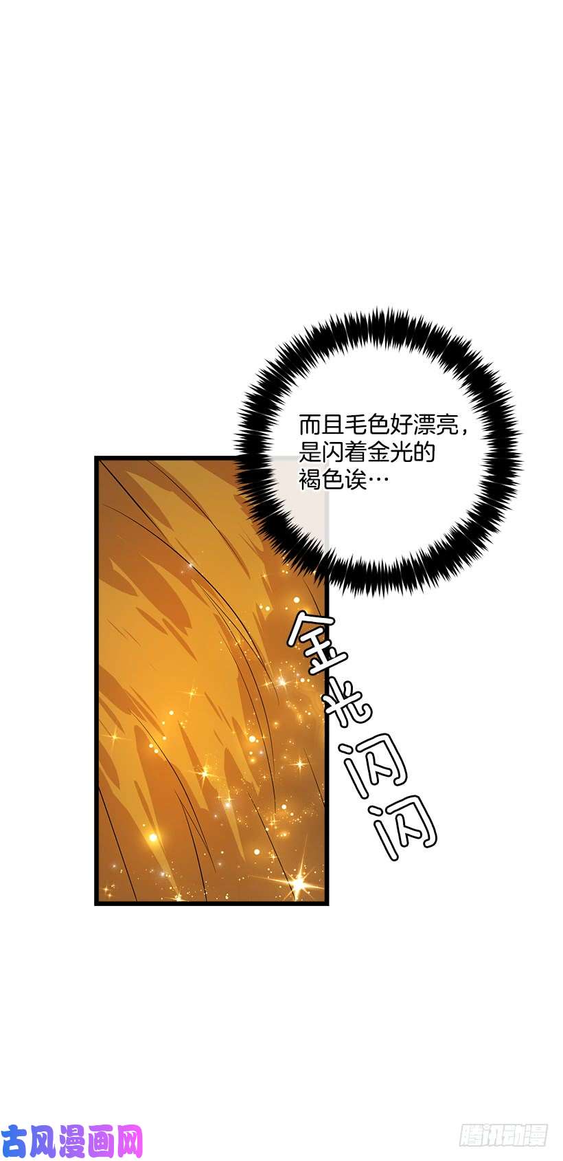 我是这家的孩子熊