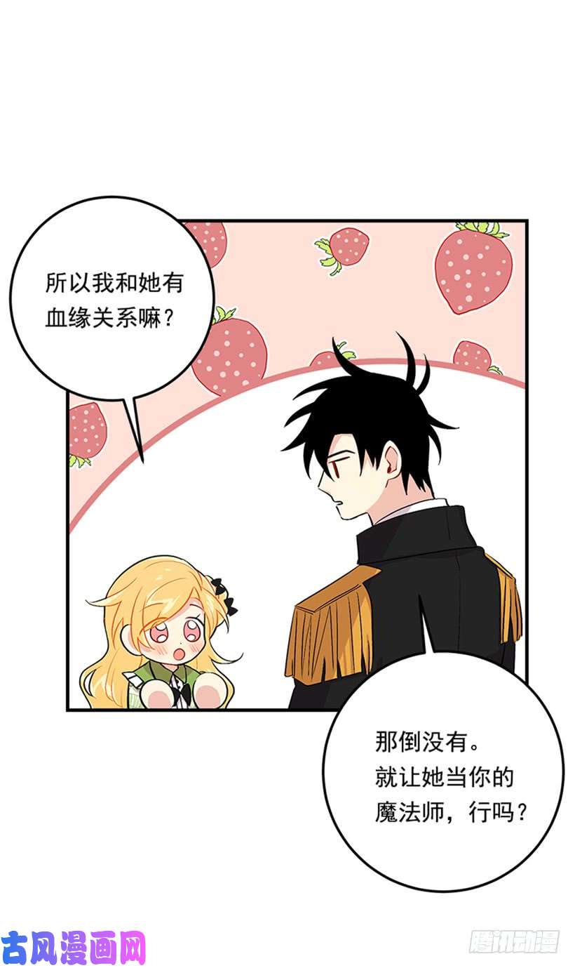 我是这家的孩子78.魔法师十三