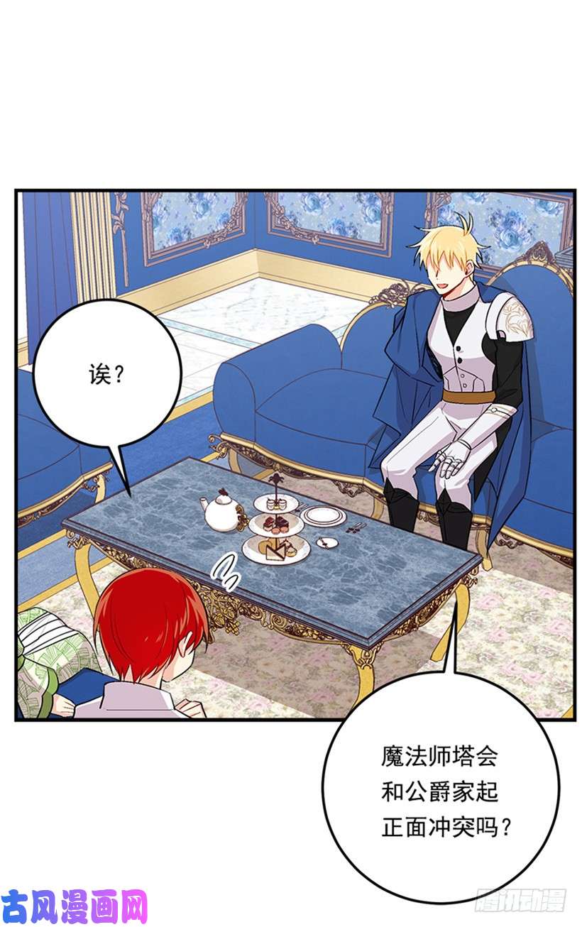 我是这家的孩子78.魔法师十三