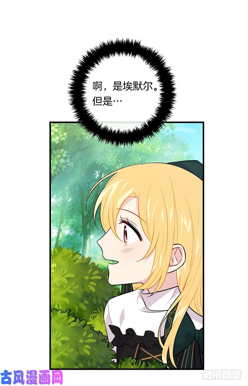 我是这家的孩子100.埃默尔的另一面