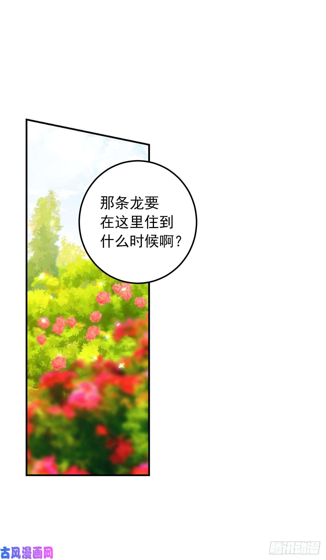 我是这家的孩子143.怎样和安和解呢？