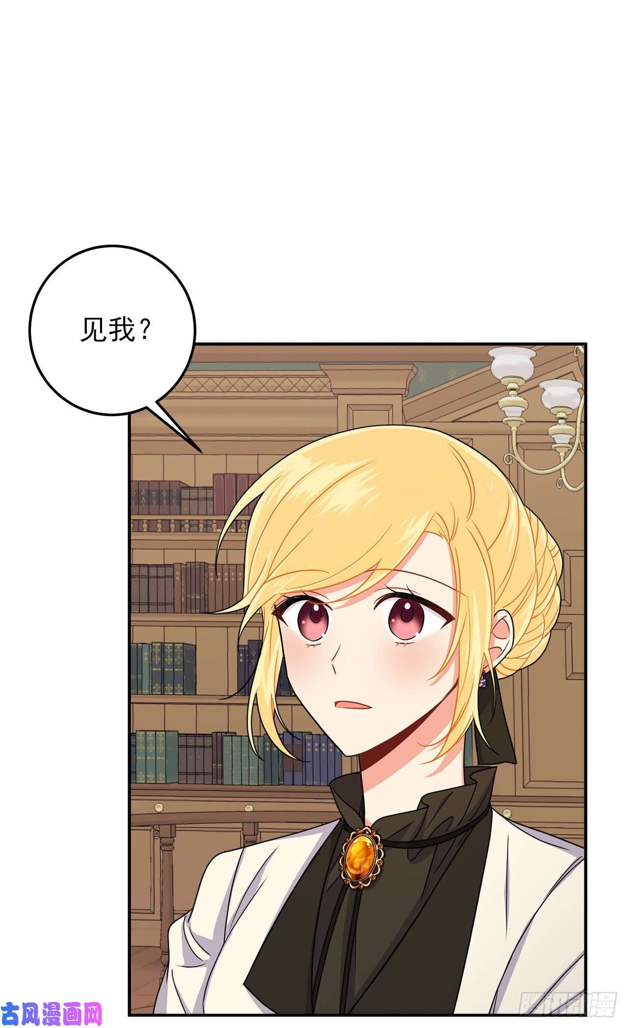 我是这家的孩子166.你还没有忘记埃默尔吗？