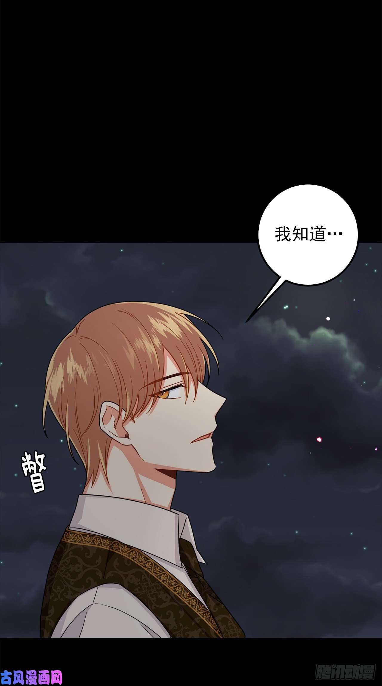 我是这家的孩子177.我能重新做您的骑士吗