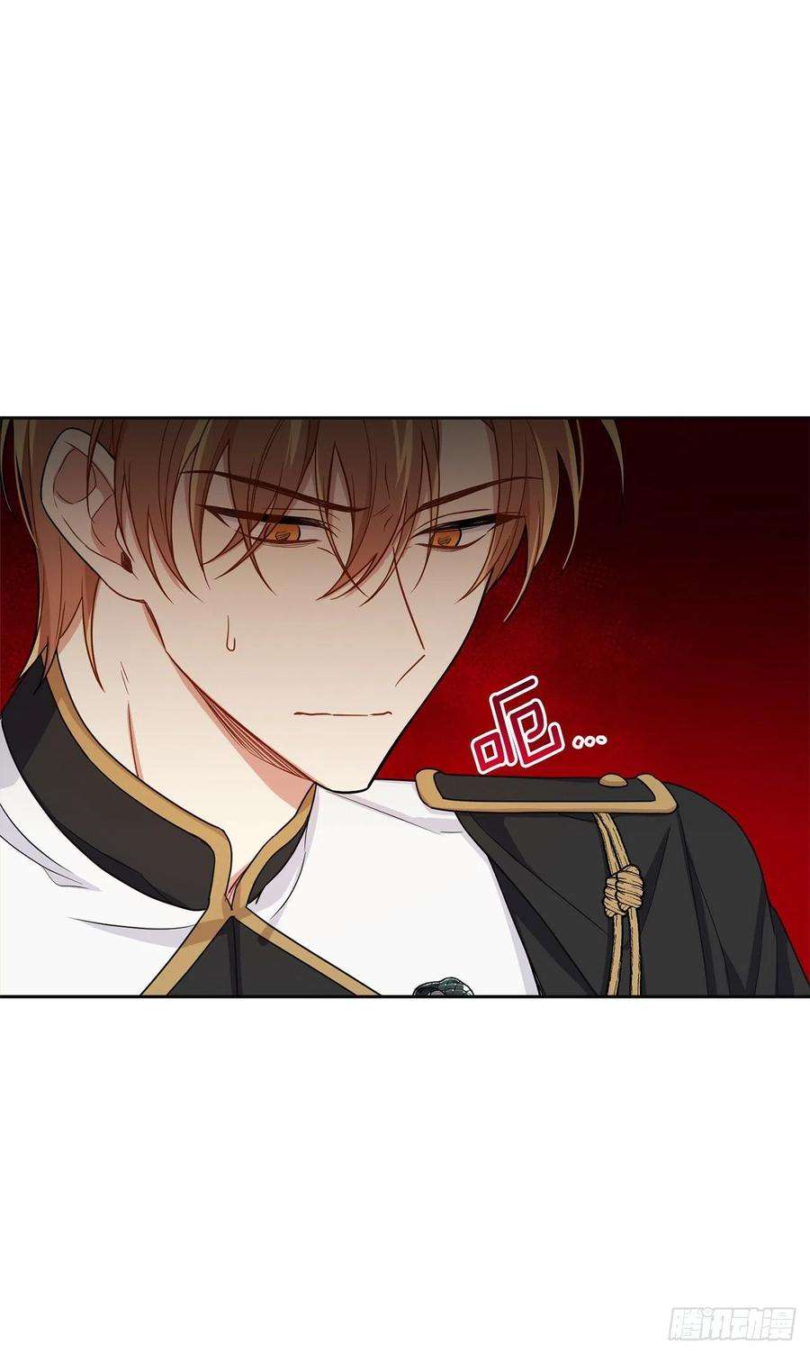 我是这家的孩子194.埃默尔受伤了？