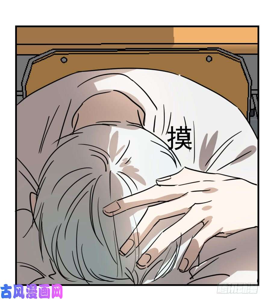 敖敖待捕第一话 小心翼翼