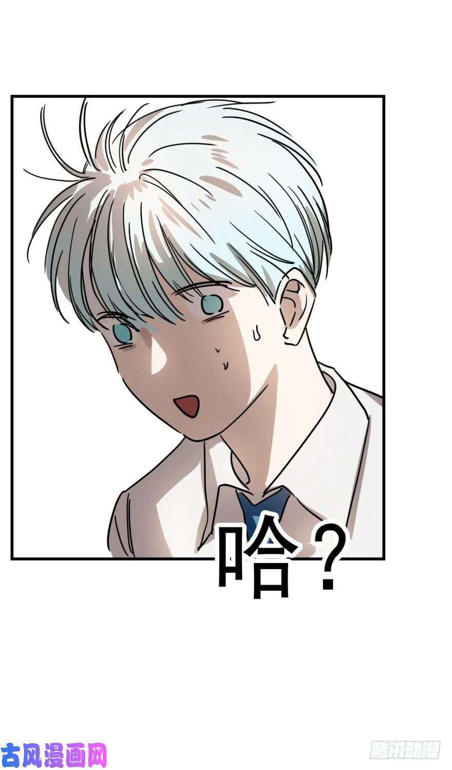 敖敖待捕第一话 小心翼翼