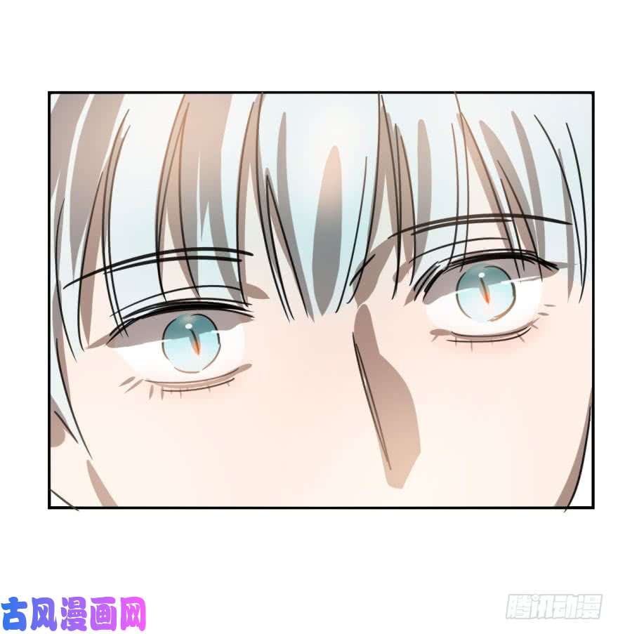 敖敖待捕第八话 鱼生艰难