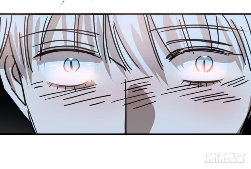 敖敖待捕第十二话 千钧一发