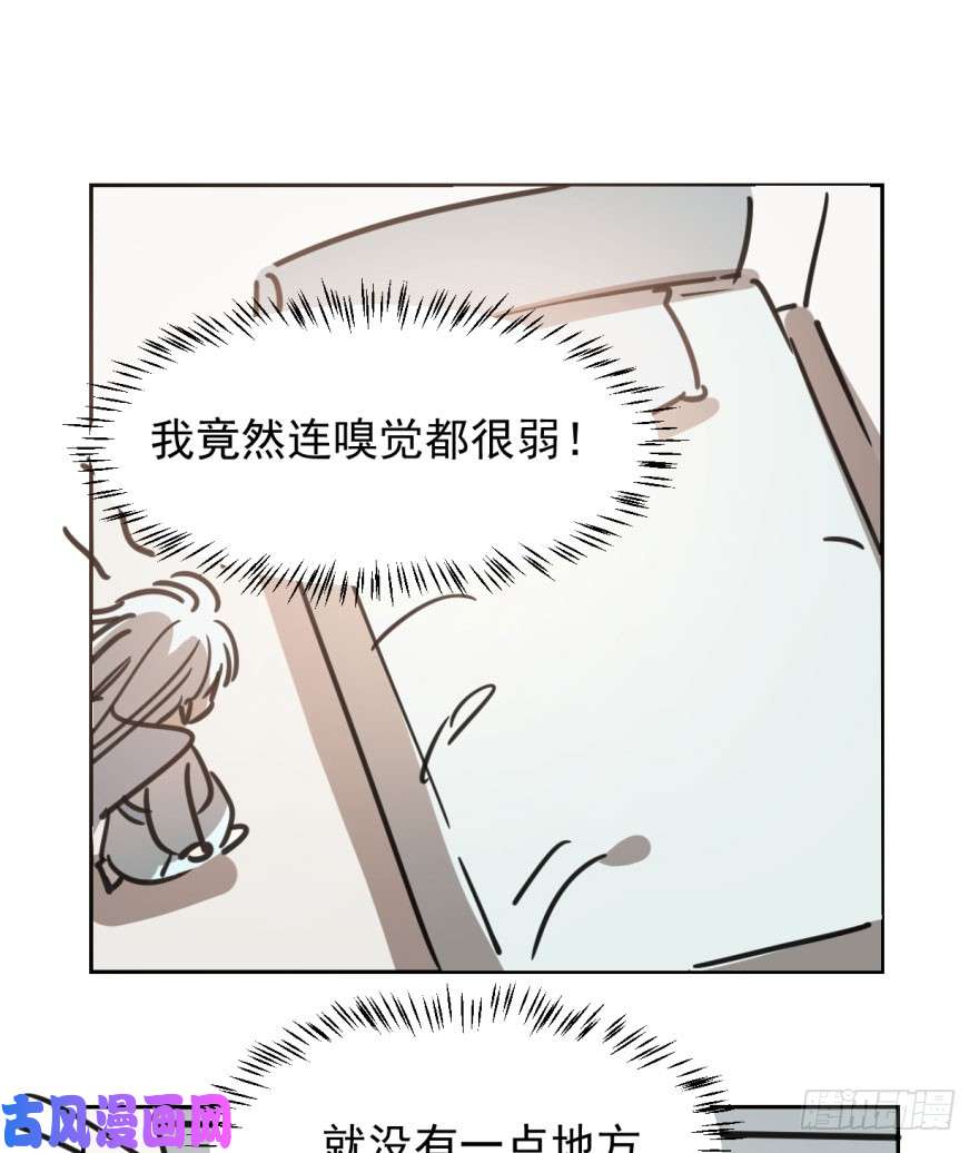 敖敖待捕第二十九话 敖敖敲门