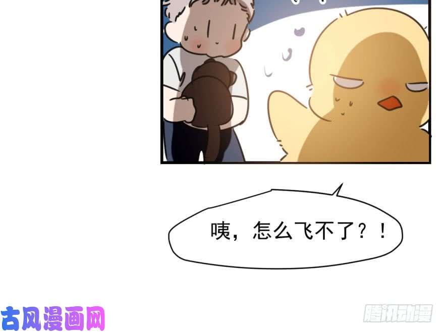 敖敖待捕第五十三话 暗潮涌动