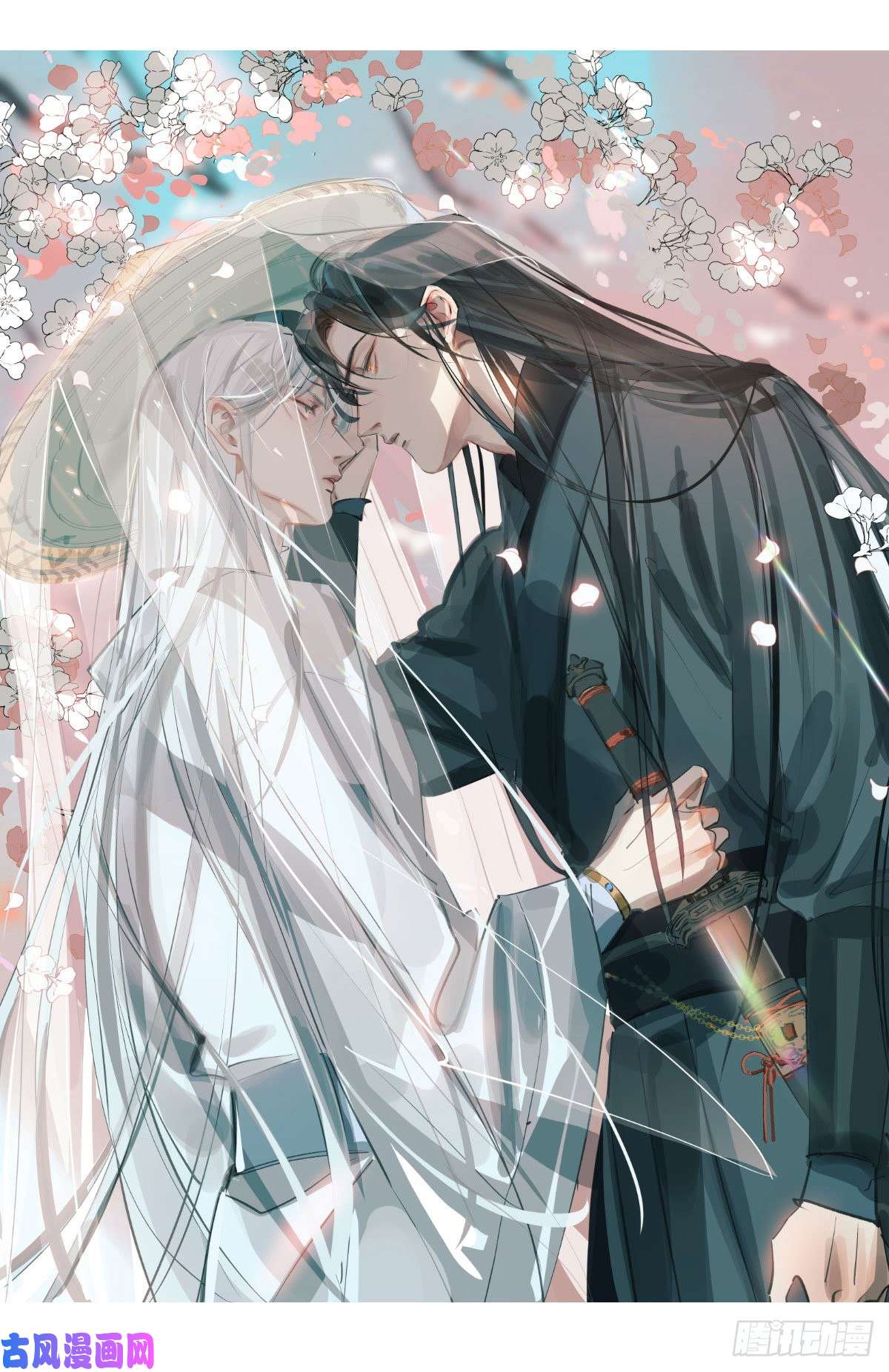 敖敖待捕近期扉页合集 通知