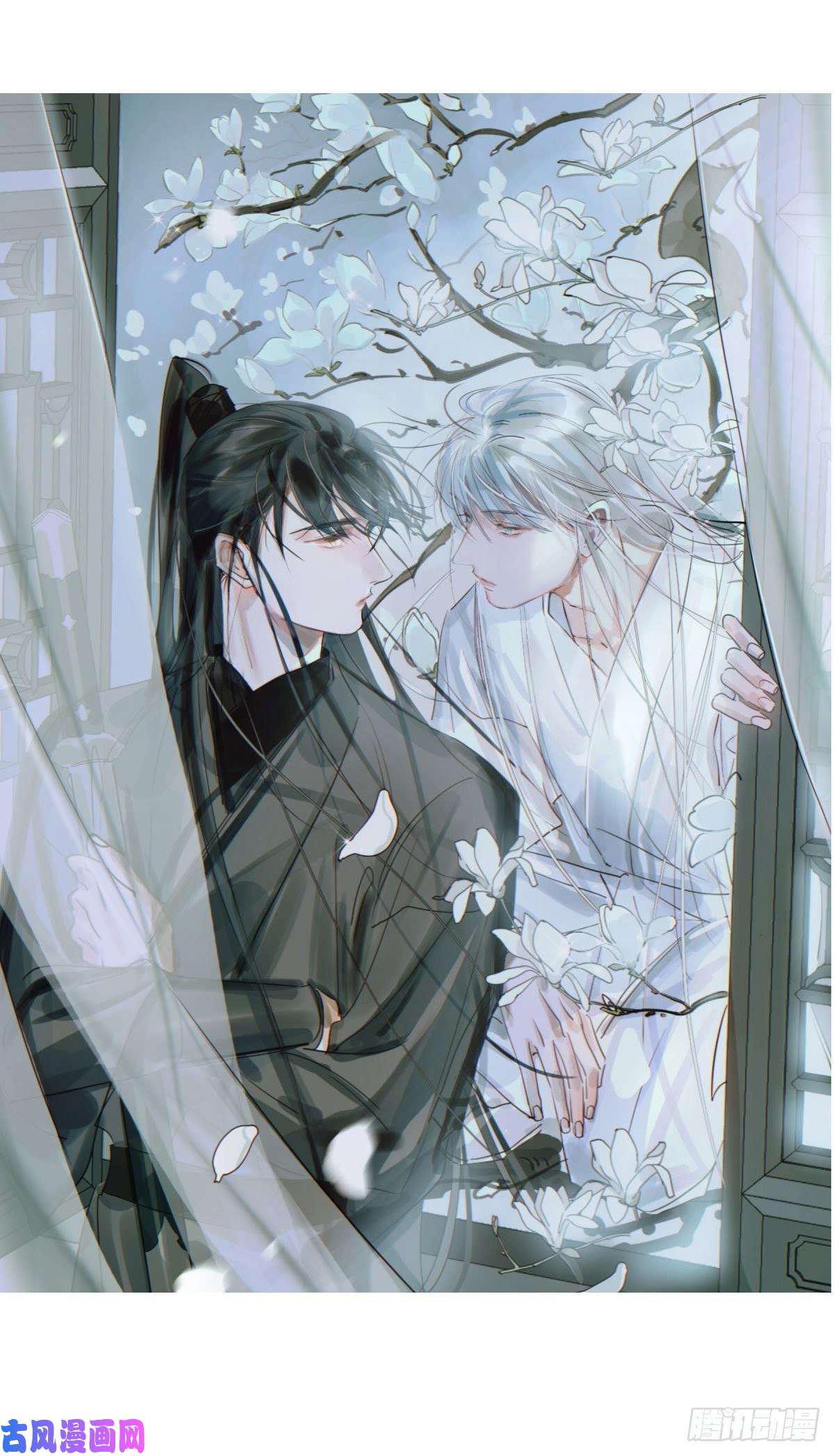 敖敖待捕近期扉页合集 通知