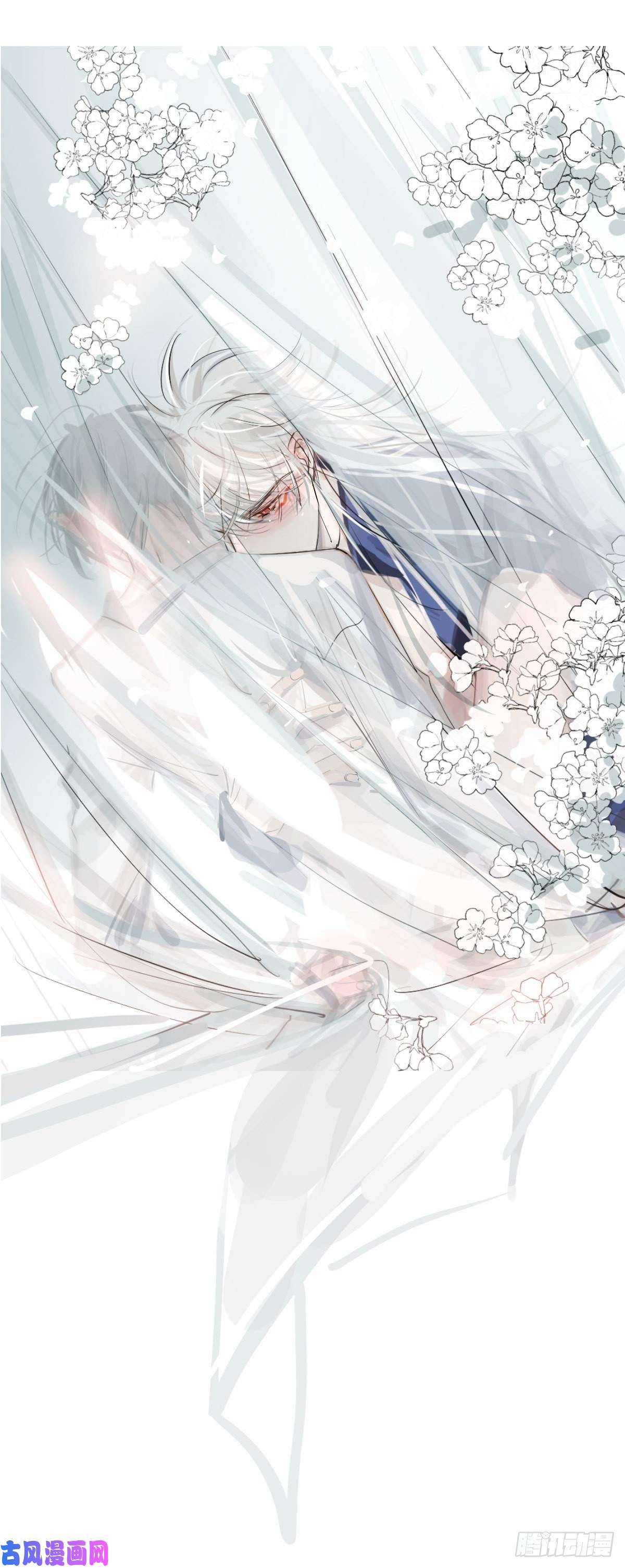 敖敖待捕近期扉页合集 通知