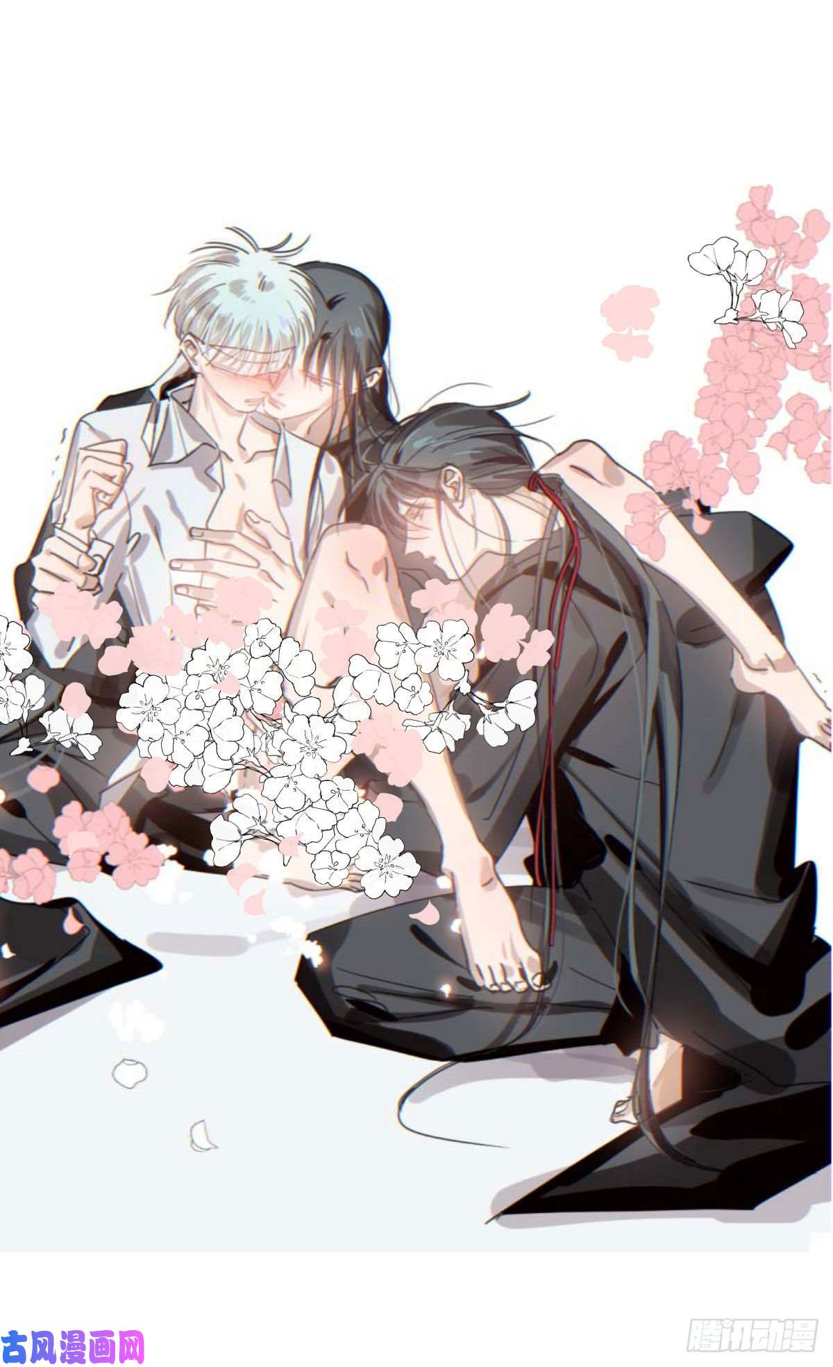 敖敖待捕近期扉页合集 通知