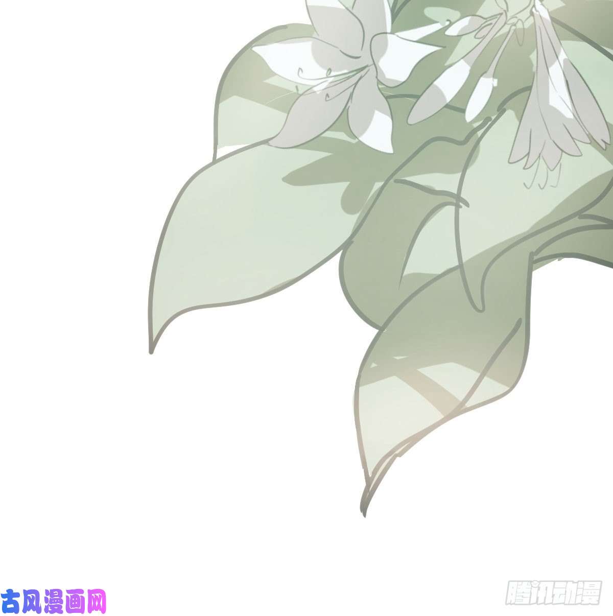 敖敖待捕特别篇 气味（一）
