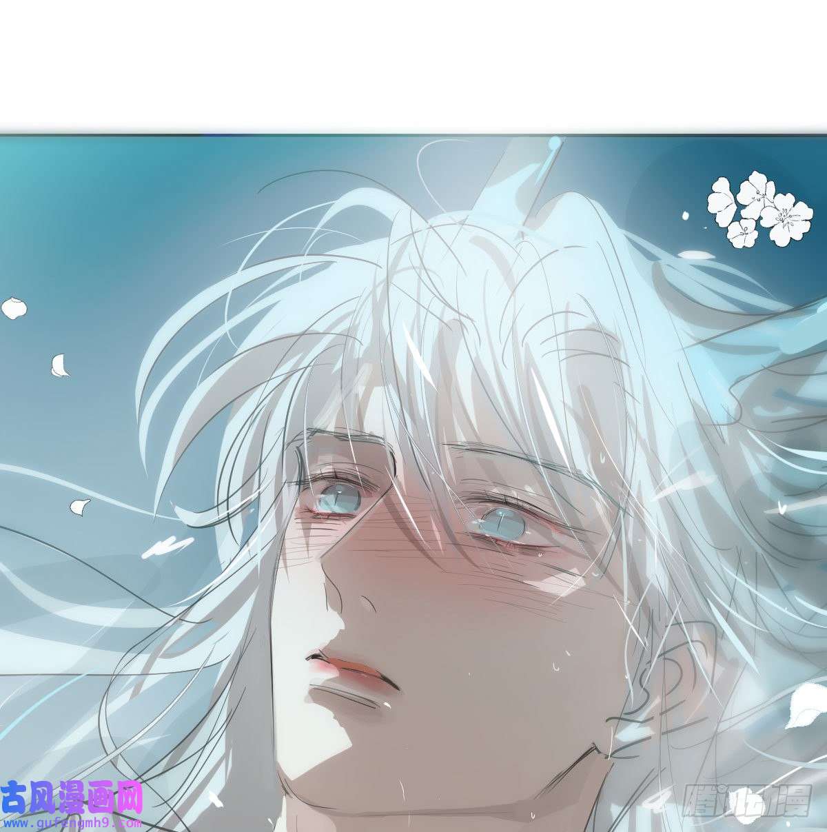 敖敖待捕第194话 以退为进