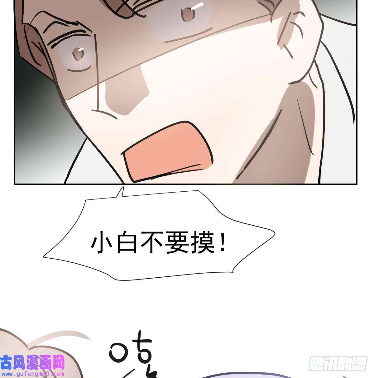 敖敖待捕第194话 以退为进