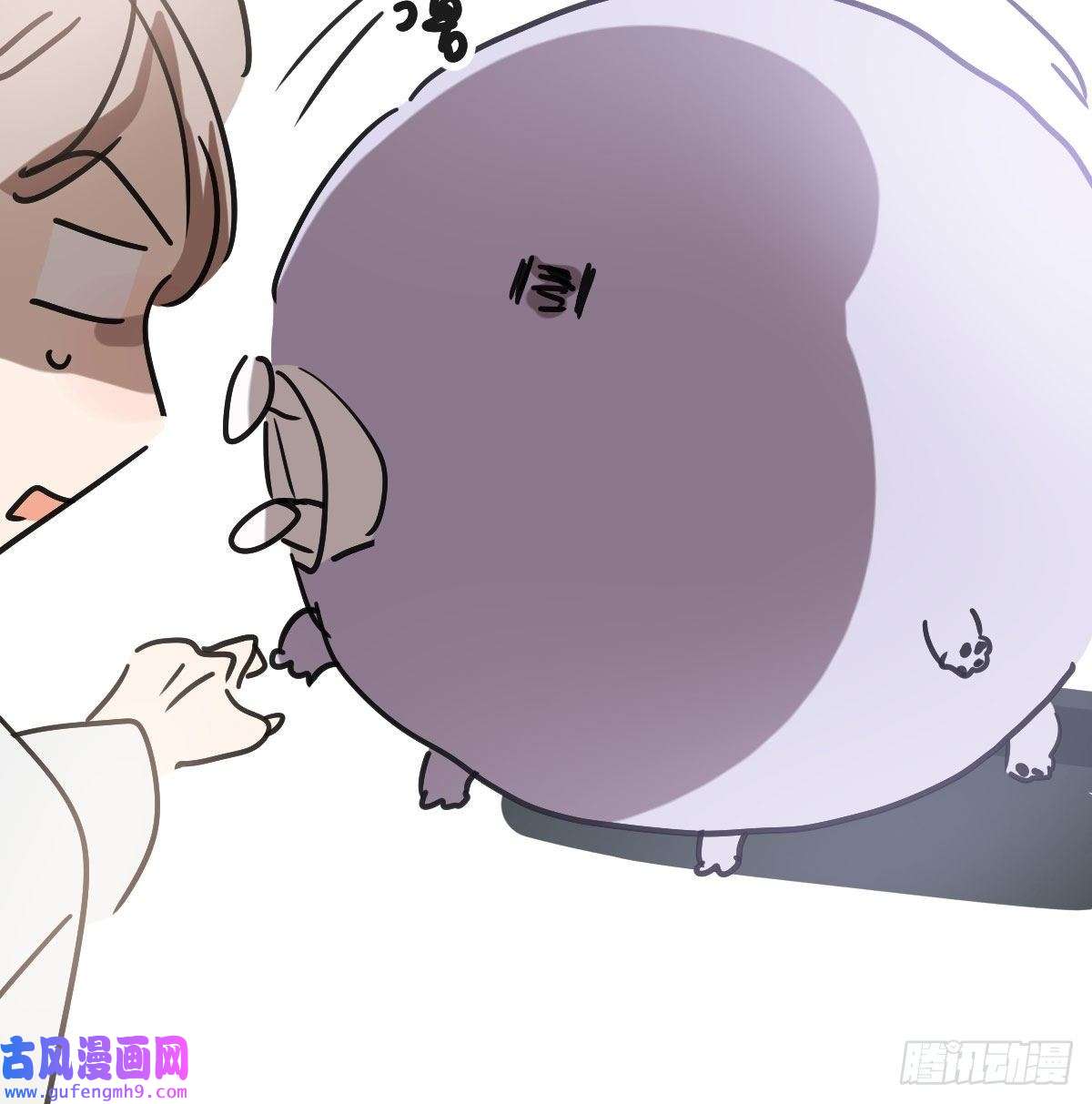 敖敖待捕第194话 以退为进