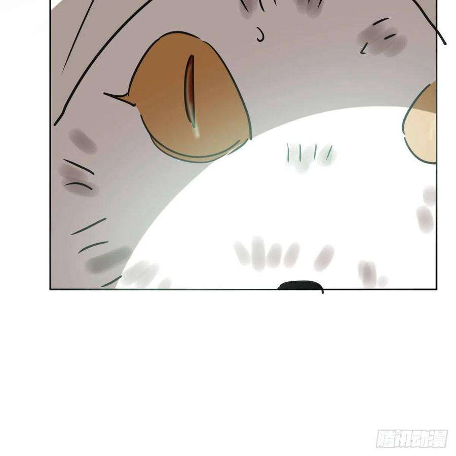 敖敖待捕124话 不是敖故呀