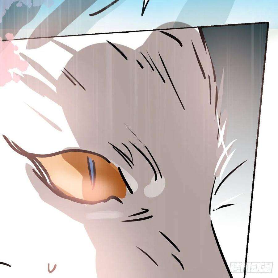 敖敖待捕182话 虚界之主