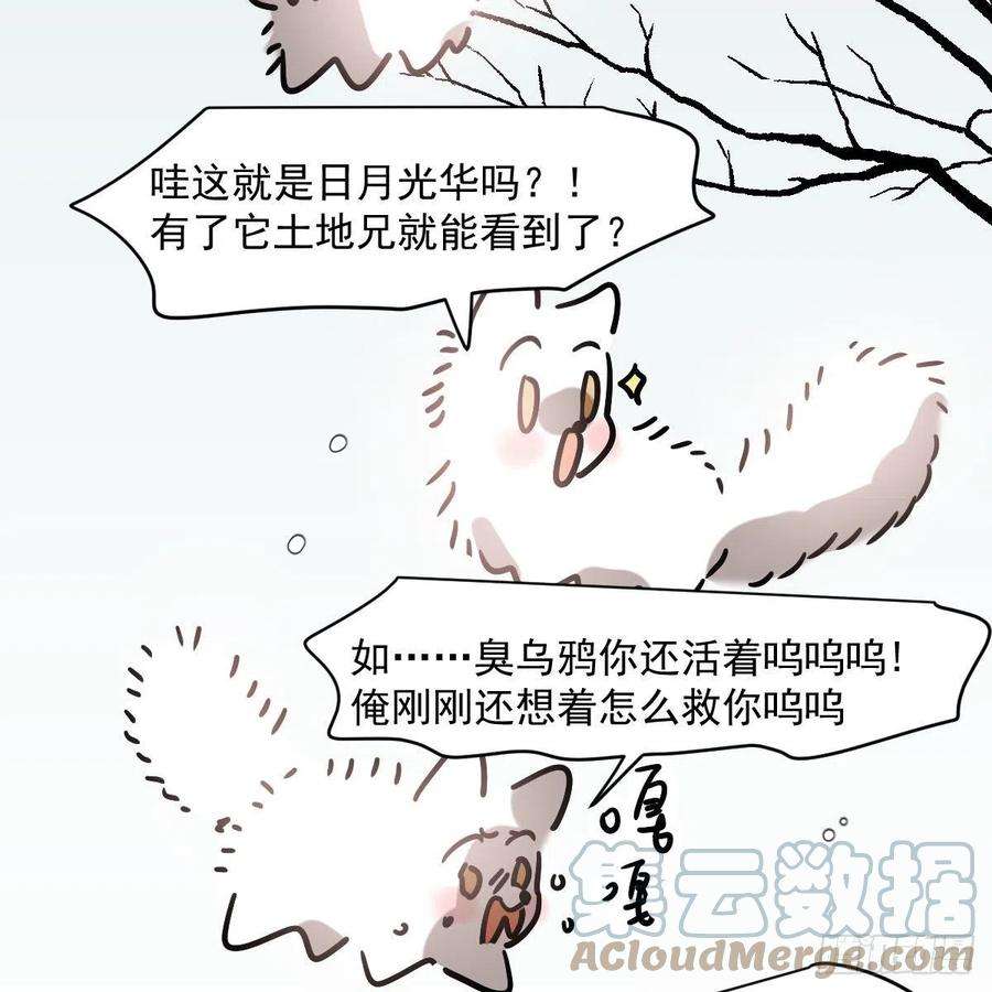 敖敖待捕183话 奋不顾身