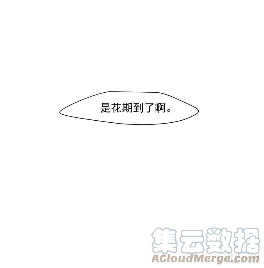 敖敖待捕187话 雷恩上天