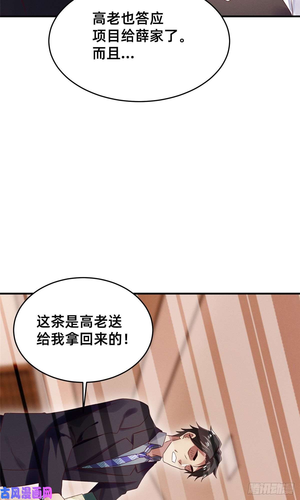 每天被迫和大佬谈恋爱11 向帅的老丈人