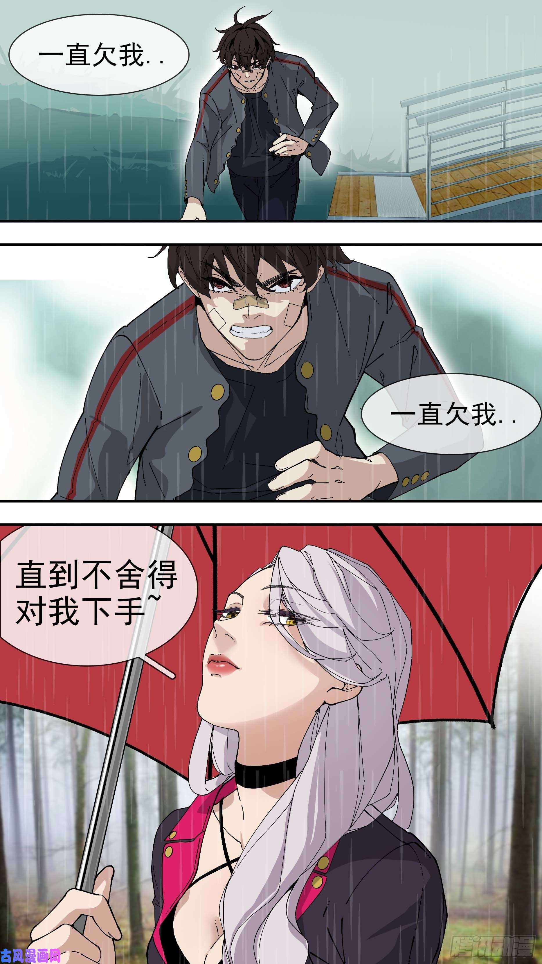乌鸦【银】04