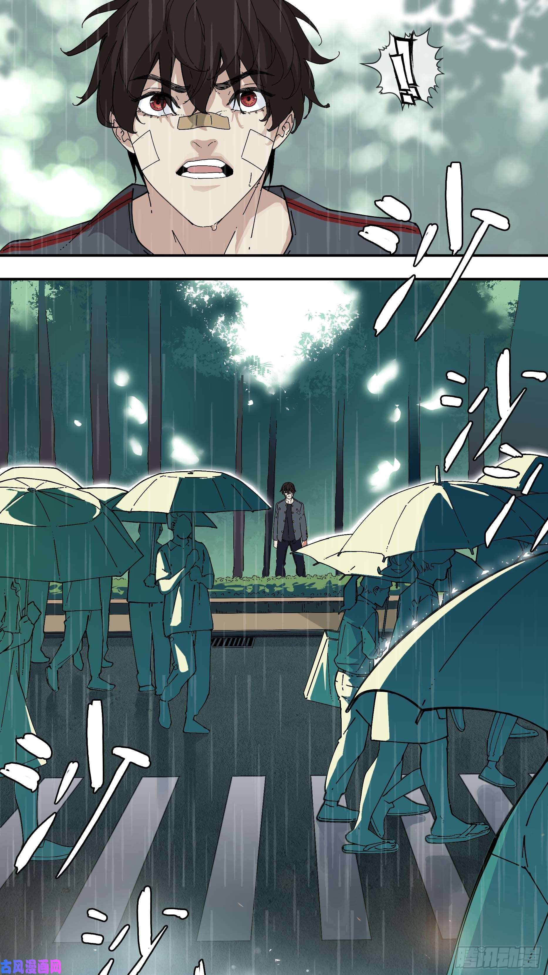 乌鸦【银】04